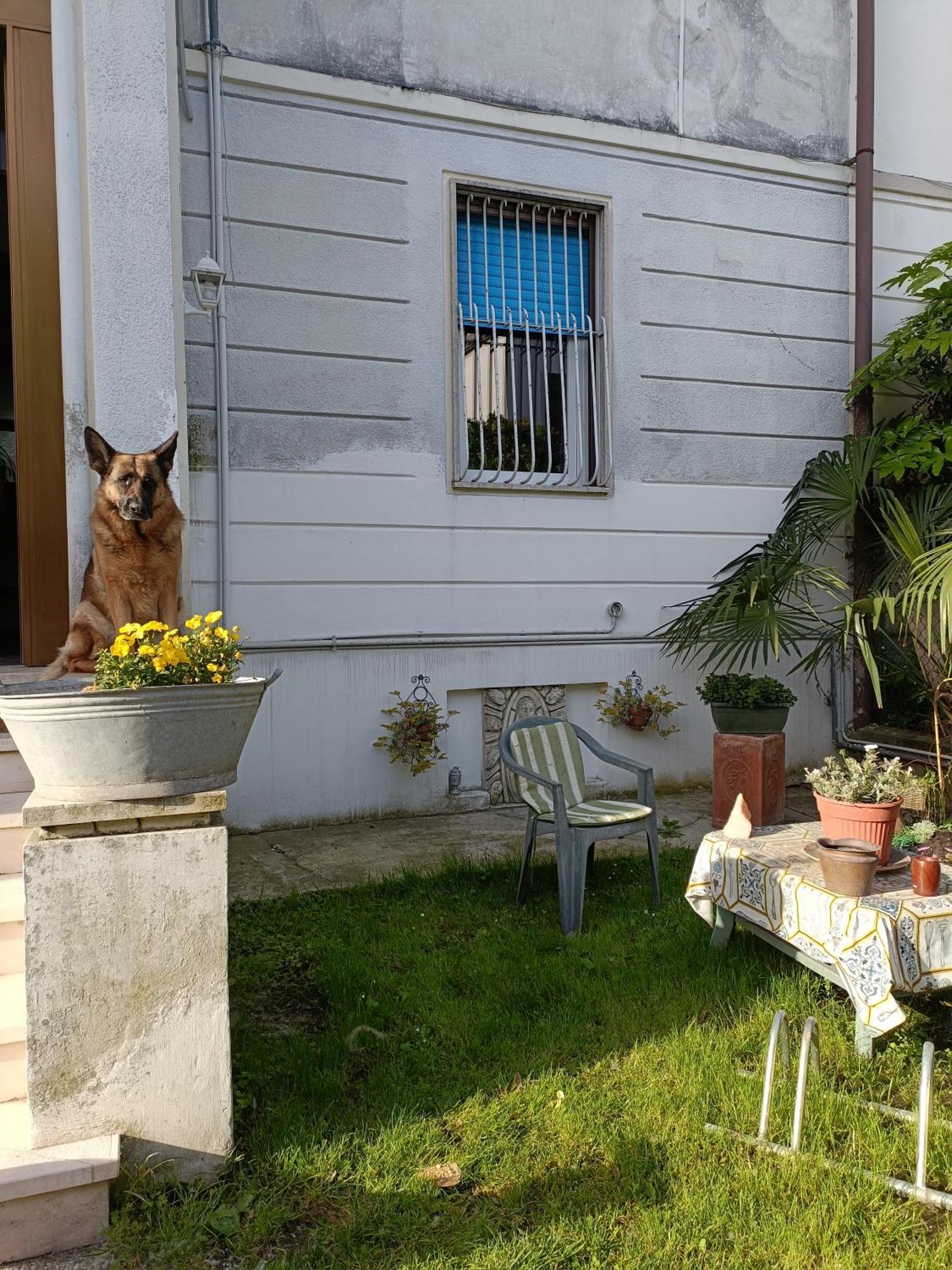 Chez Mavipagi B&B Verona Eksteriør billede